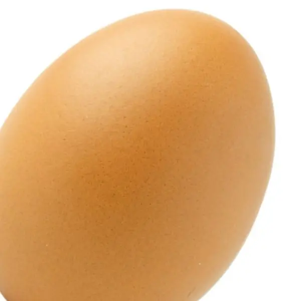 Œufs.