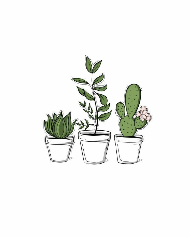 Plantas