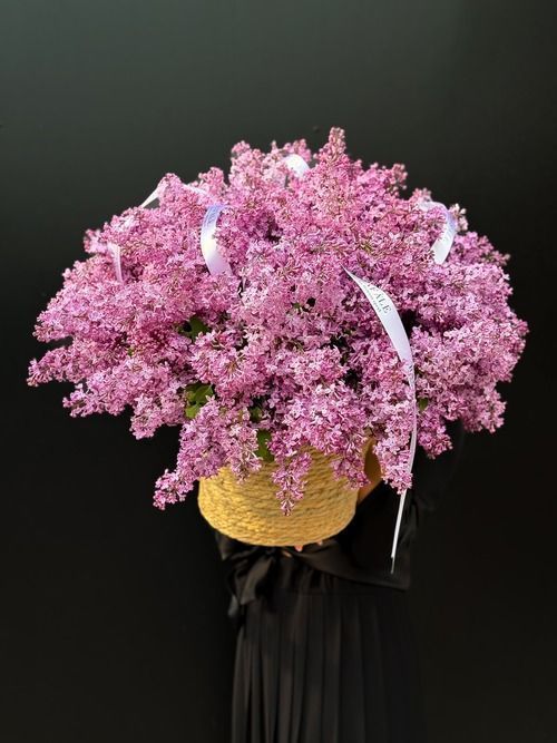 Бенто - торт с короной