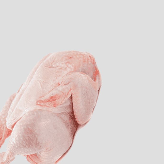 Poultry And Poultry Products