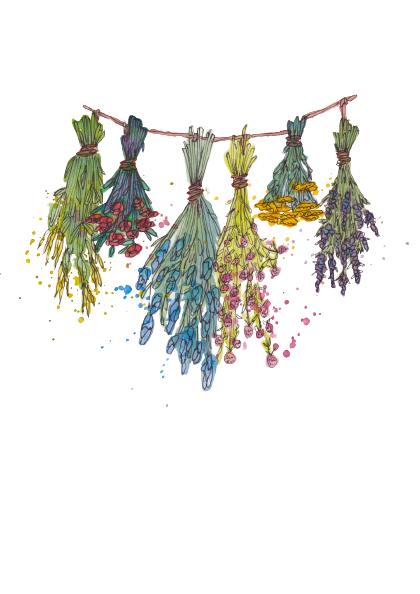 Flores Preservadas