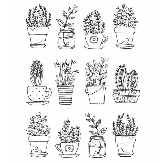 Complementos