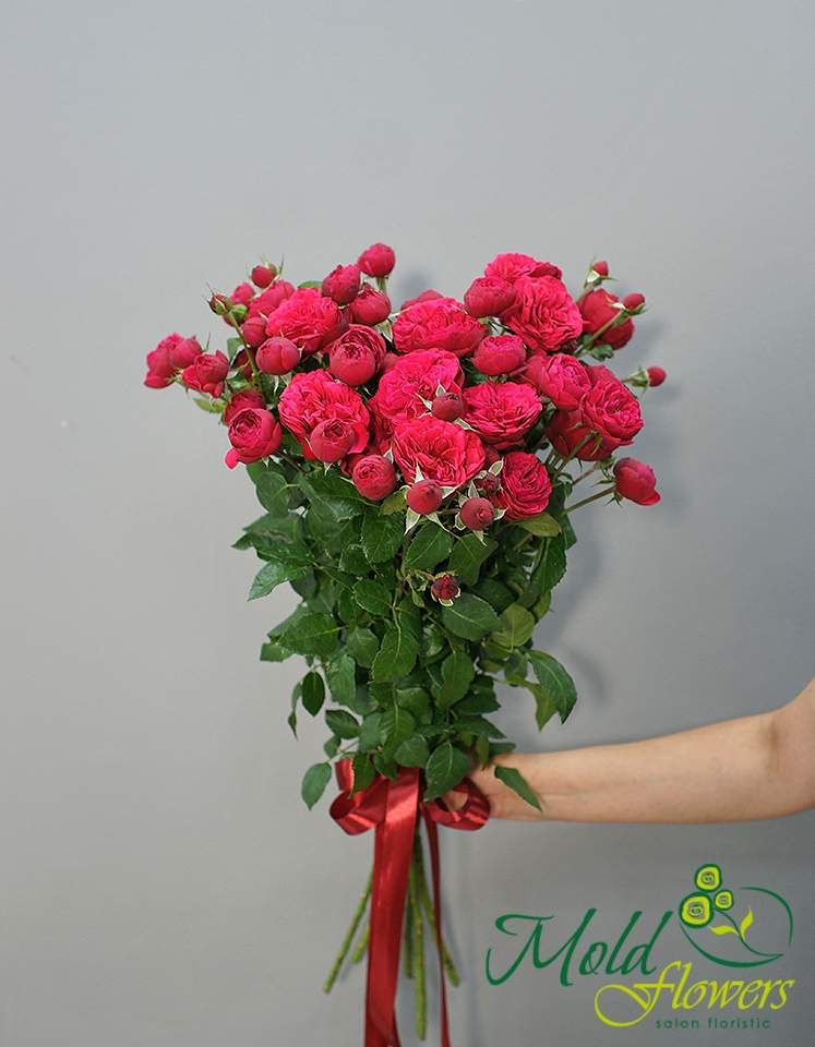 Buchet din 9 trandafiri de tufa "Red Piano" 70 cm