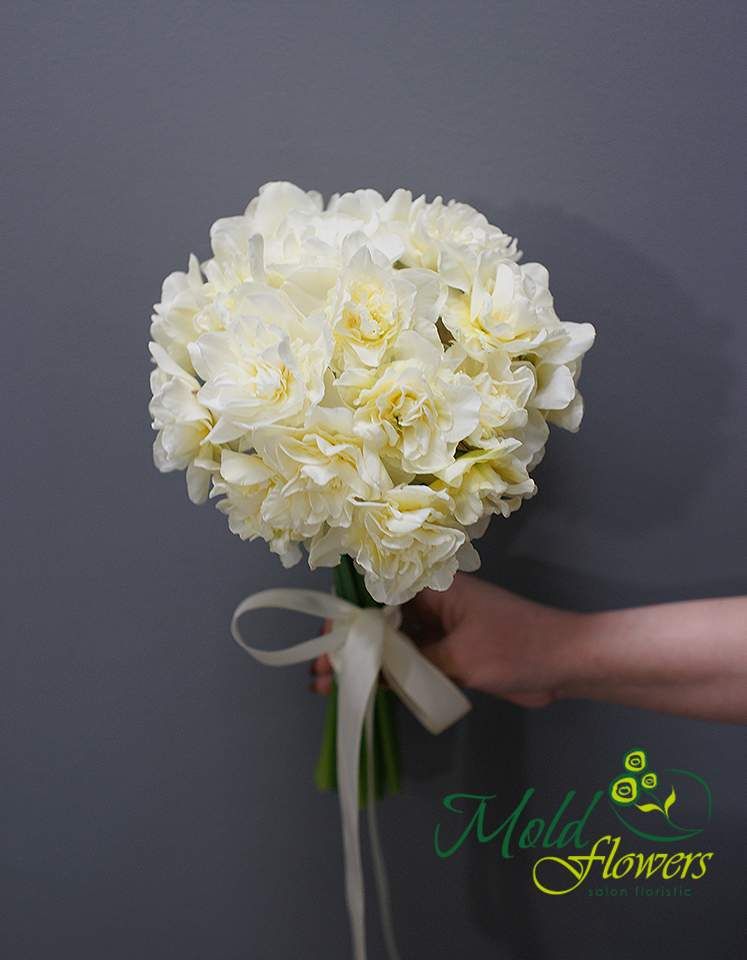 Narcis alb de tip bujor