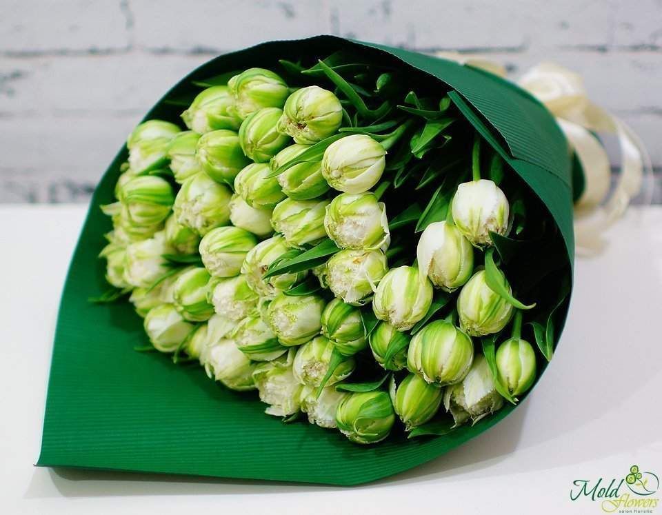 Buchet din 45 lalele de tip bujor culoarea alb-verde