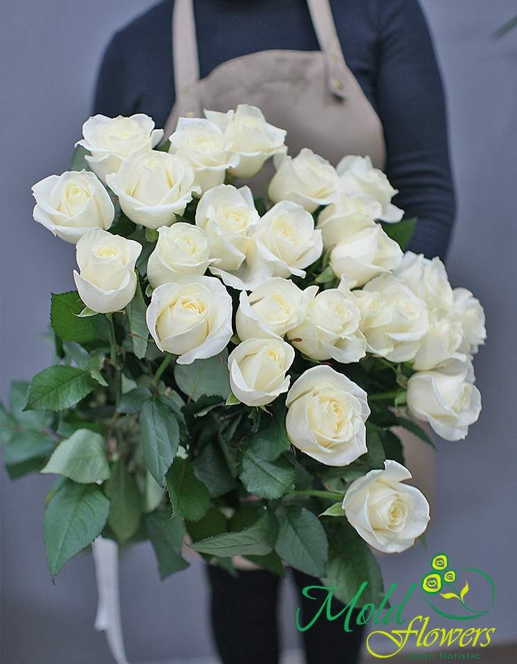 25 trandafiri albi 70-80 cm