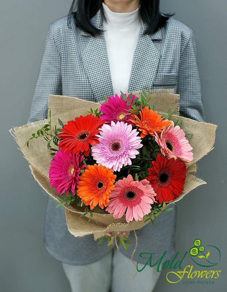 Mono buchet din gerbere "Dispozitie colorata"