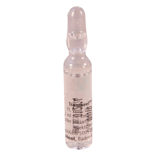 ტრაუმელი ხსნარი საინექციო 2.2მლ ამპულა #5 0 Traumeel S amp #5