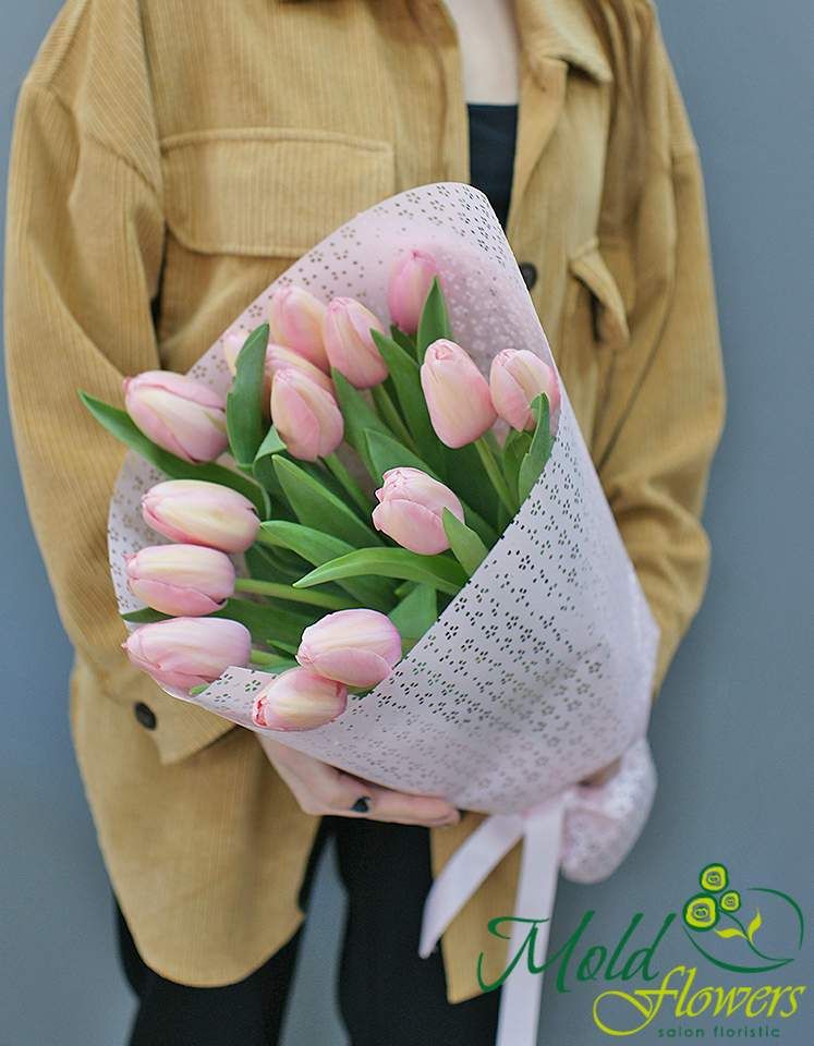 Buchet din 15 lalele Darwin "Salmon Impression"