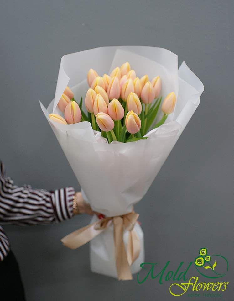 Buchet din 25 lalele pudrate "Mango Charm"