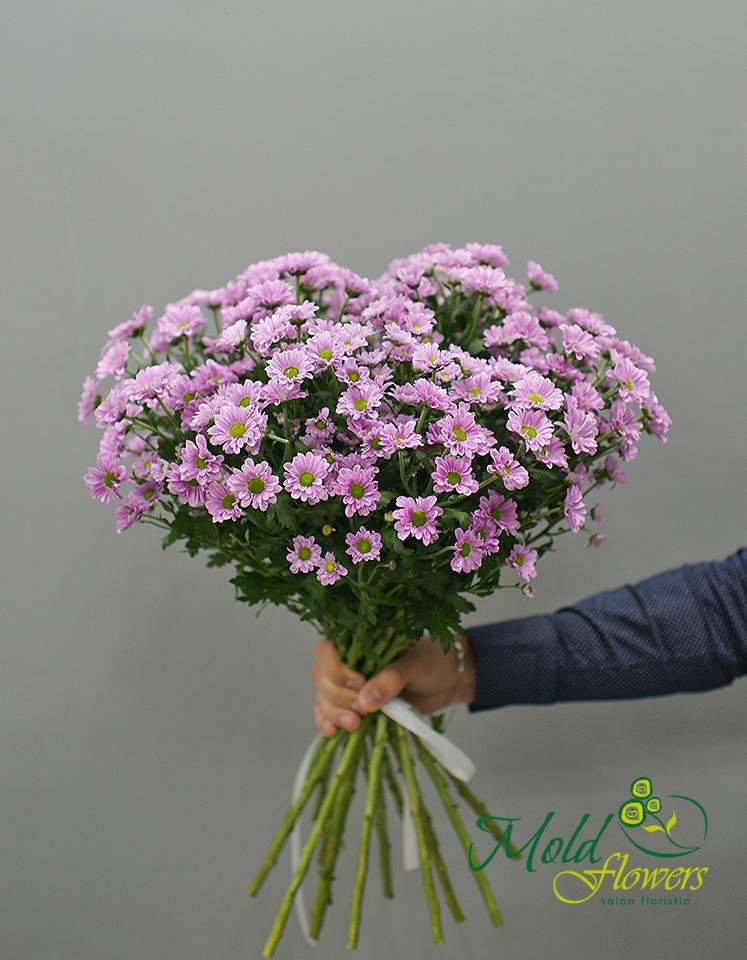 Buchet din 15 ramuri de crizanteme roz