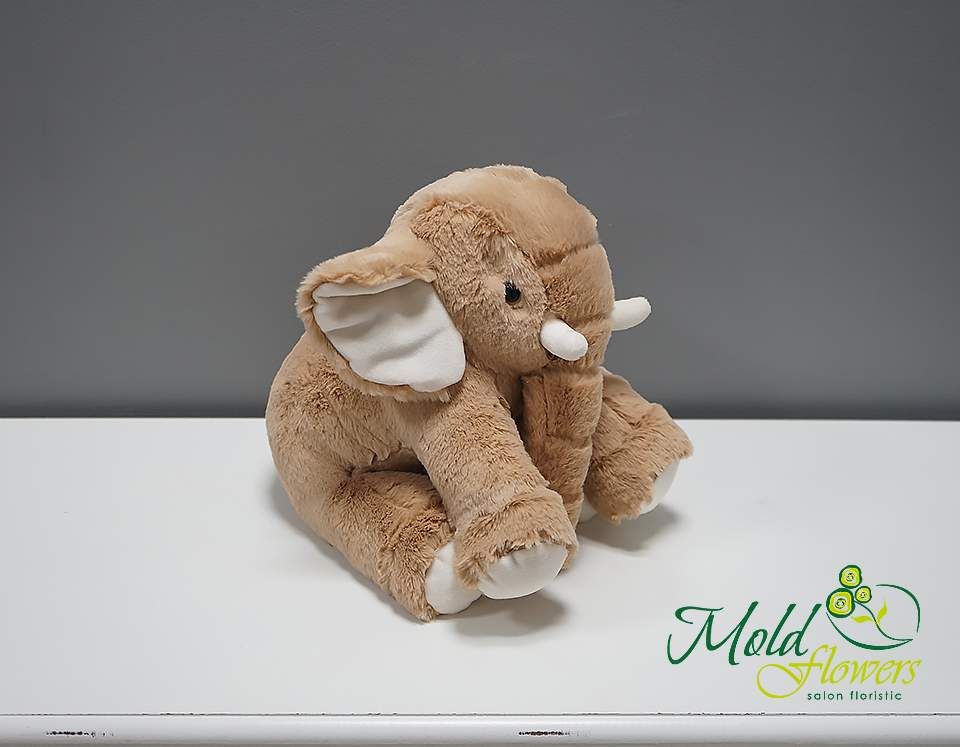 Elefant de pluș h=29 cm