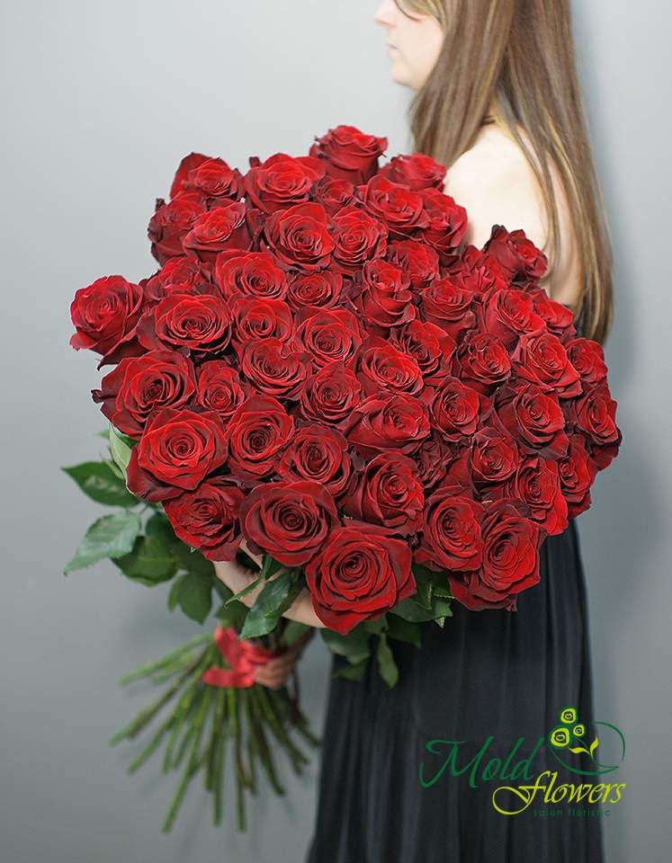 51 Trandafiri roșii Premium Olanda 80-90 cm