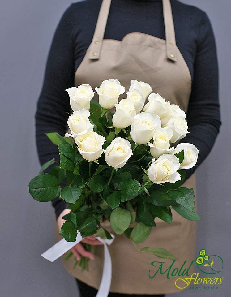 15 trandafiri albi olandezi 50-60 cm