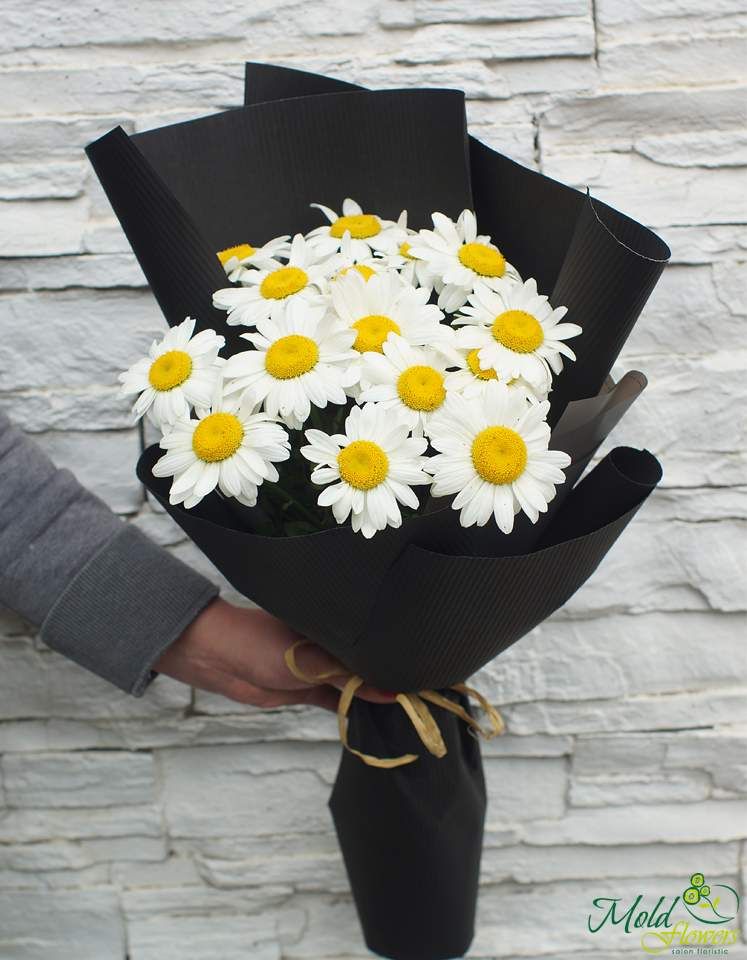 Buchet din romanițe în hârtie neagră