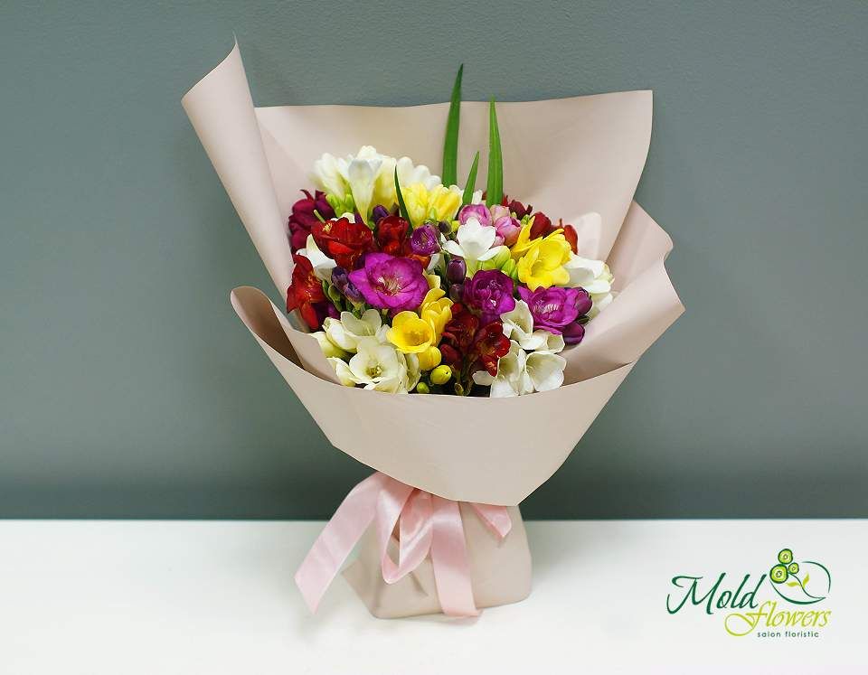 Buchet din 29 frezii olandeze
