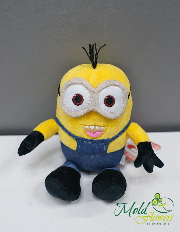 Ochisor Mike h=28 cm