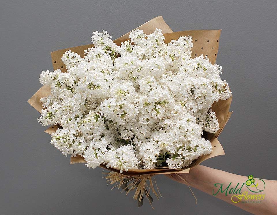 Buchet din liliac alb