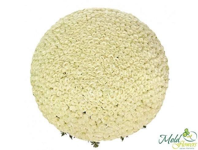 1001 Trandafiri albi olandezi 40 cm (la comanda, 3 zile)