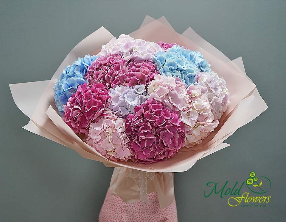 Buchet din 15 hortensii colorate