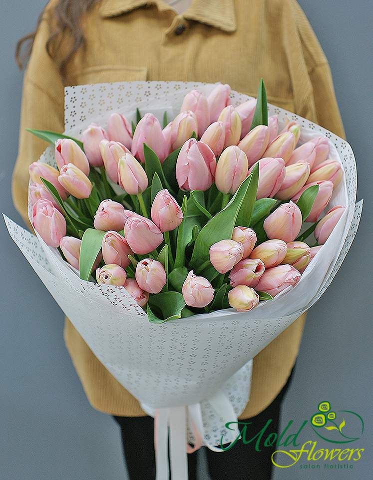 Buchet din 51 lalele Darwin "Salmon Impression"