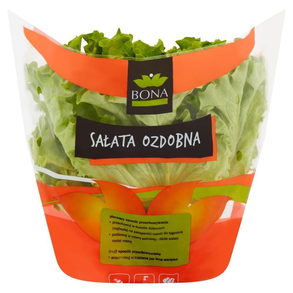 Sałaty / War. liśc.