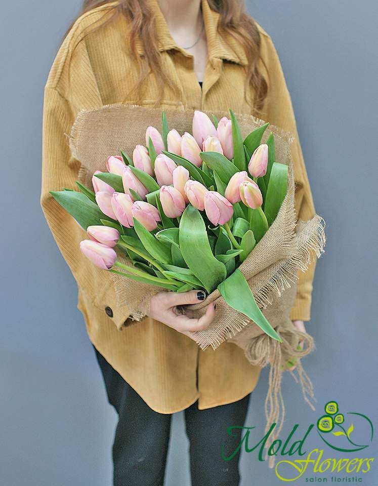Buchet din 25 lalele Darwin "Salmon Impression"