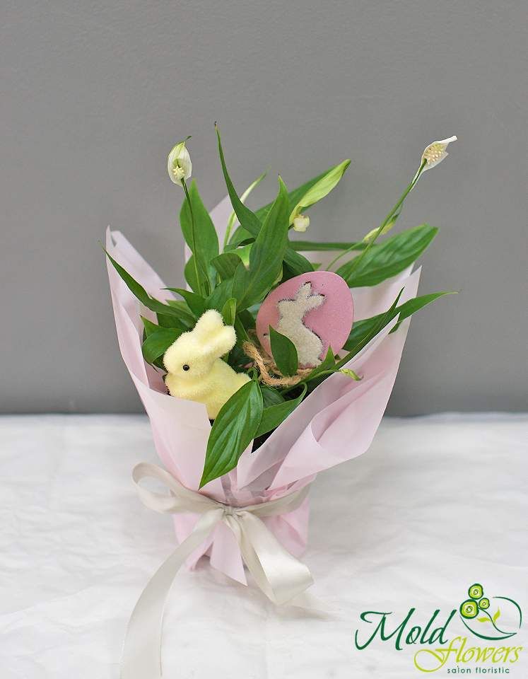 Spathiphyllum mic „Iepurașul de Paște”