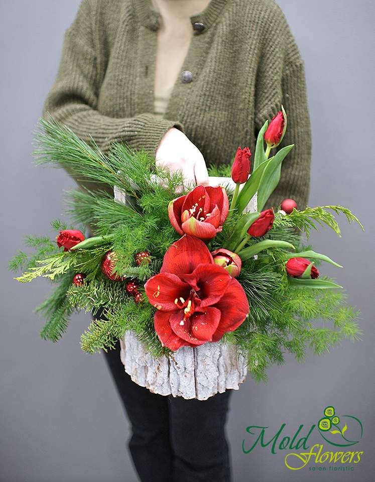 Compoziție de Anul Nou cu amaryllis roșu