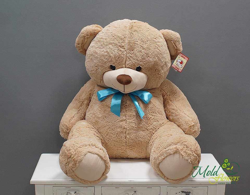 Urs mare H=120 cm