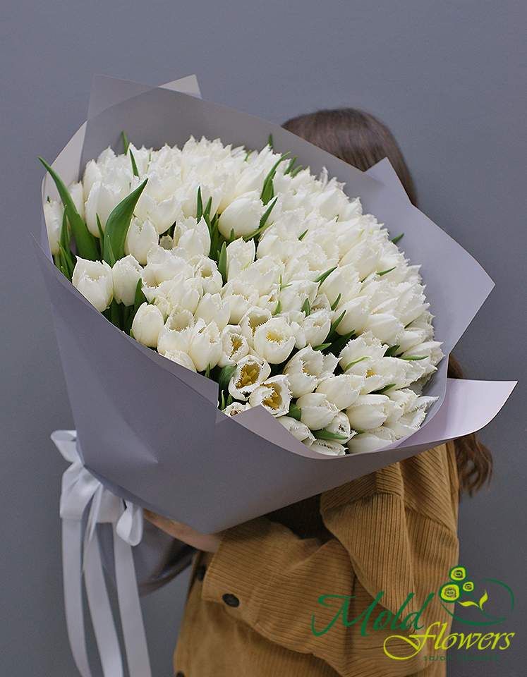 Buchet din 101 lalele albe franjurate