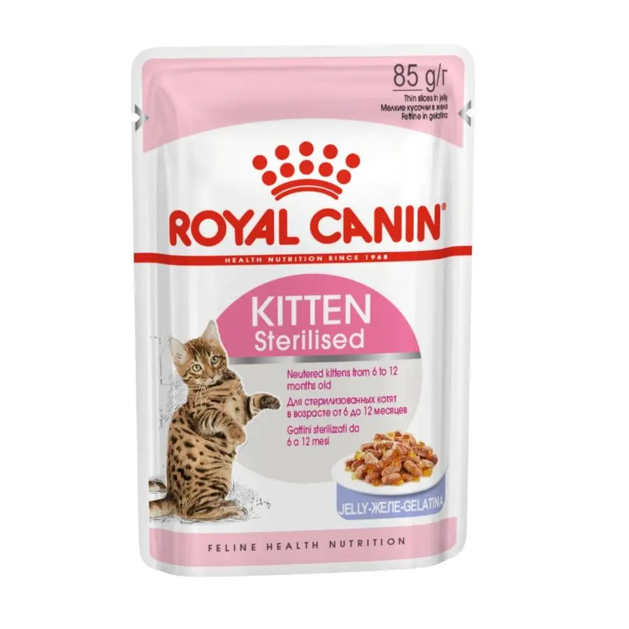 Alimentação Gato