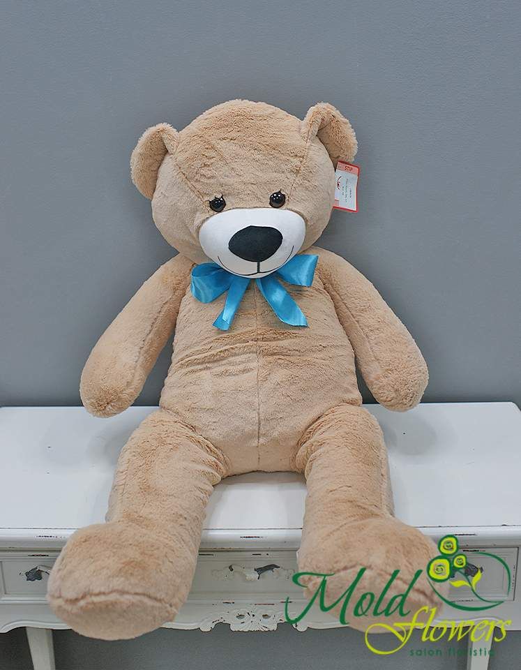 Urs Teddy h=100 cm