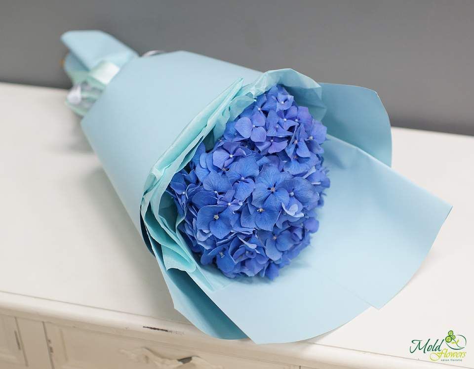 Buchet din hortensie albastra