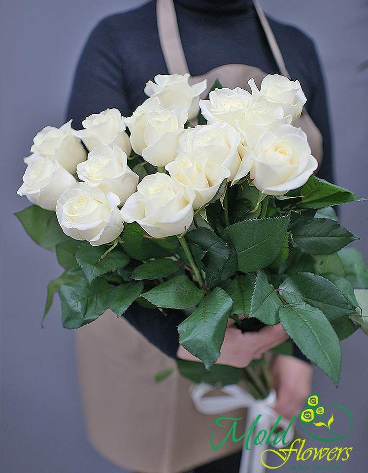 15 trandafiri albi 70-80 cm