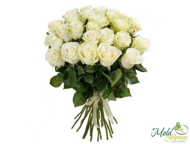 35 Trandafiri albi Premium Olanda 80-90 cm