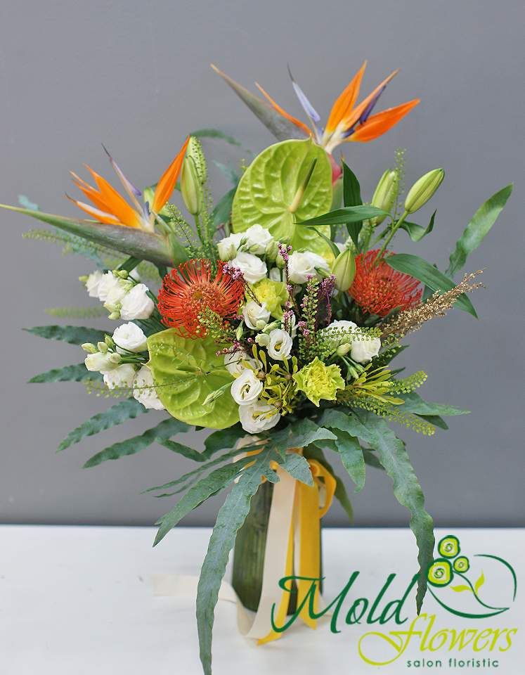Vaza + Buchet din anthurium verde si strelitzia