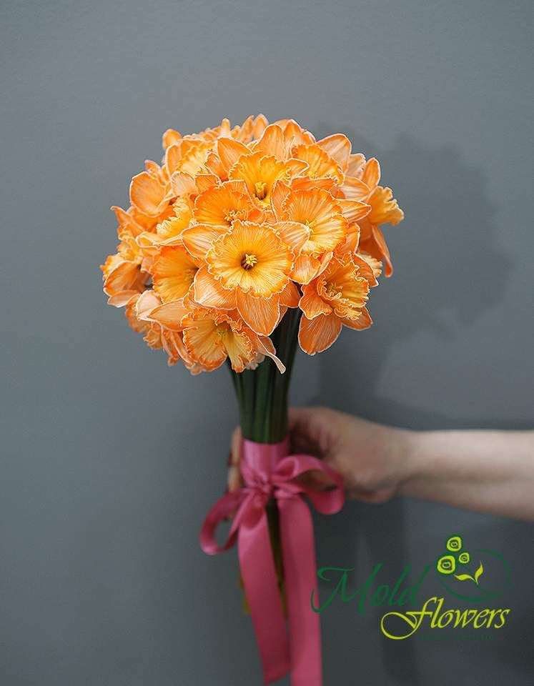 Narcis portocaliu