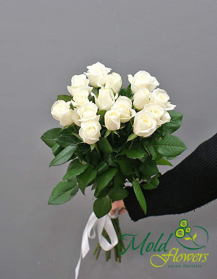 15 trandafiri olandezi albi 60-70 cm