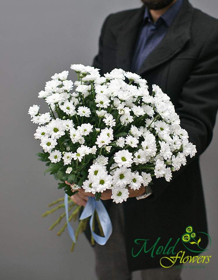 Buchet din 15 ramuri de crizanteme albe