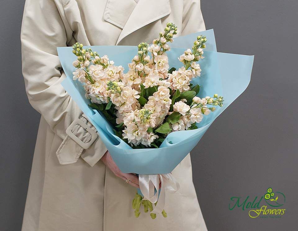 Buchet din mattiola crem