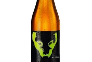 Birra Artigianale Lupulus Organicus