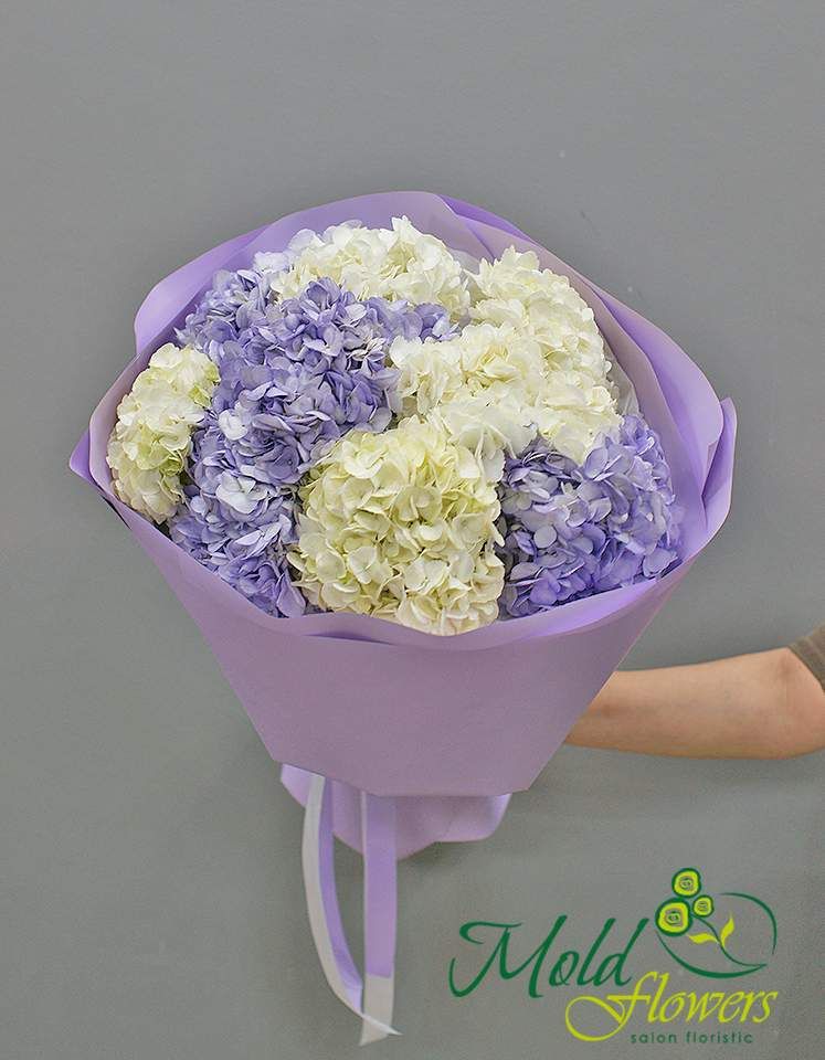 Buchet din hortensii albe și violete