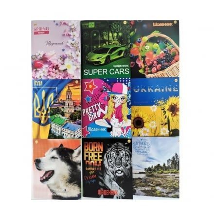 Зошити, альбоми, блокноти.