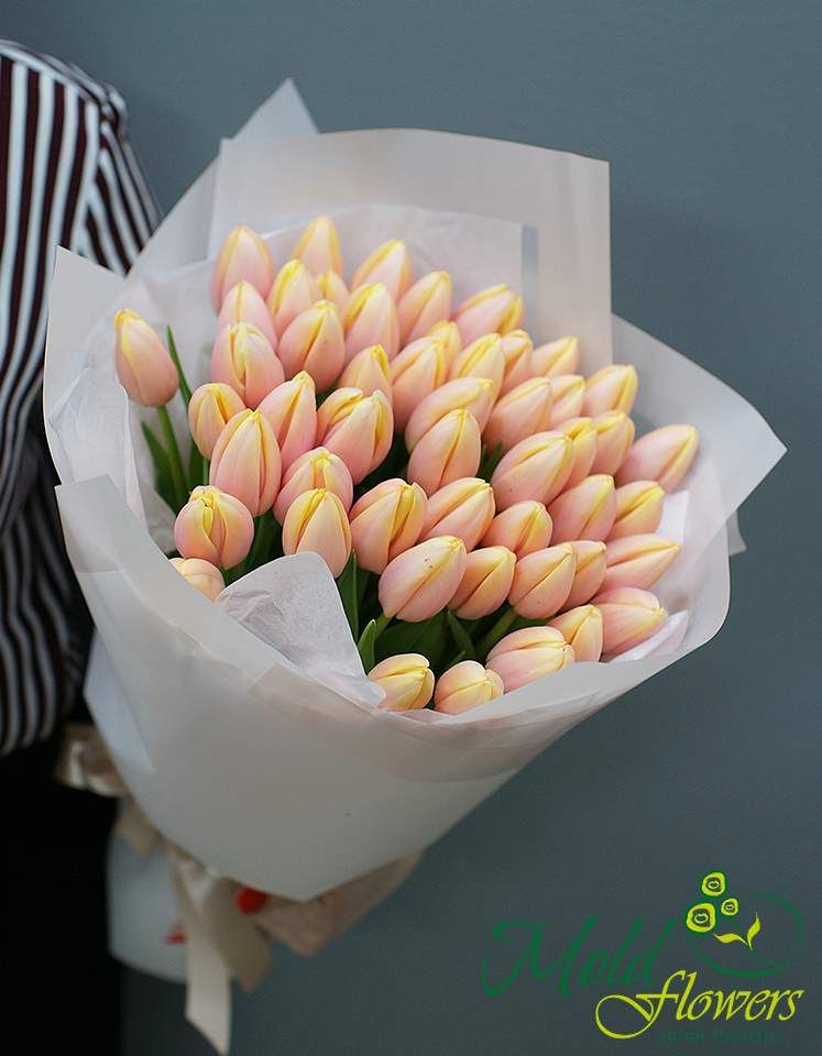 Buchet din 51 lalele pudrate Mango Charm  „Tandrețea primăverii”