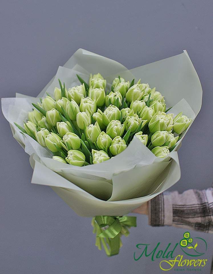 Buchet din 51 lalele verzi de tip bujor