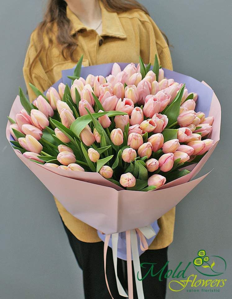 Buchet din 101 lalele Darwin "Salmon Impression"