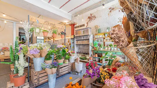 Florea Floristeria Test