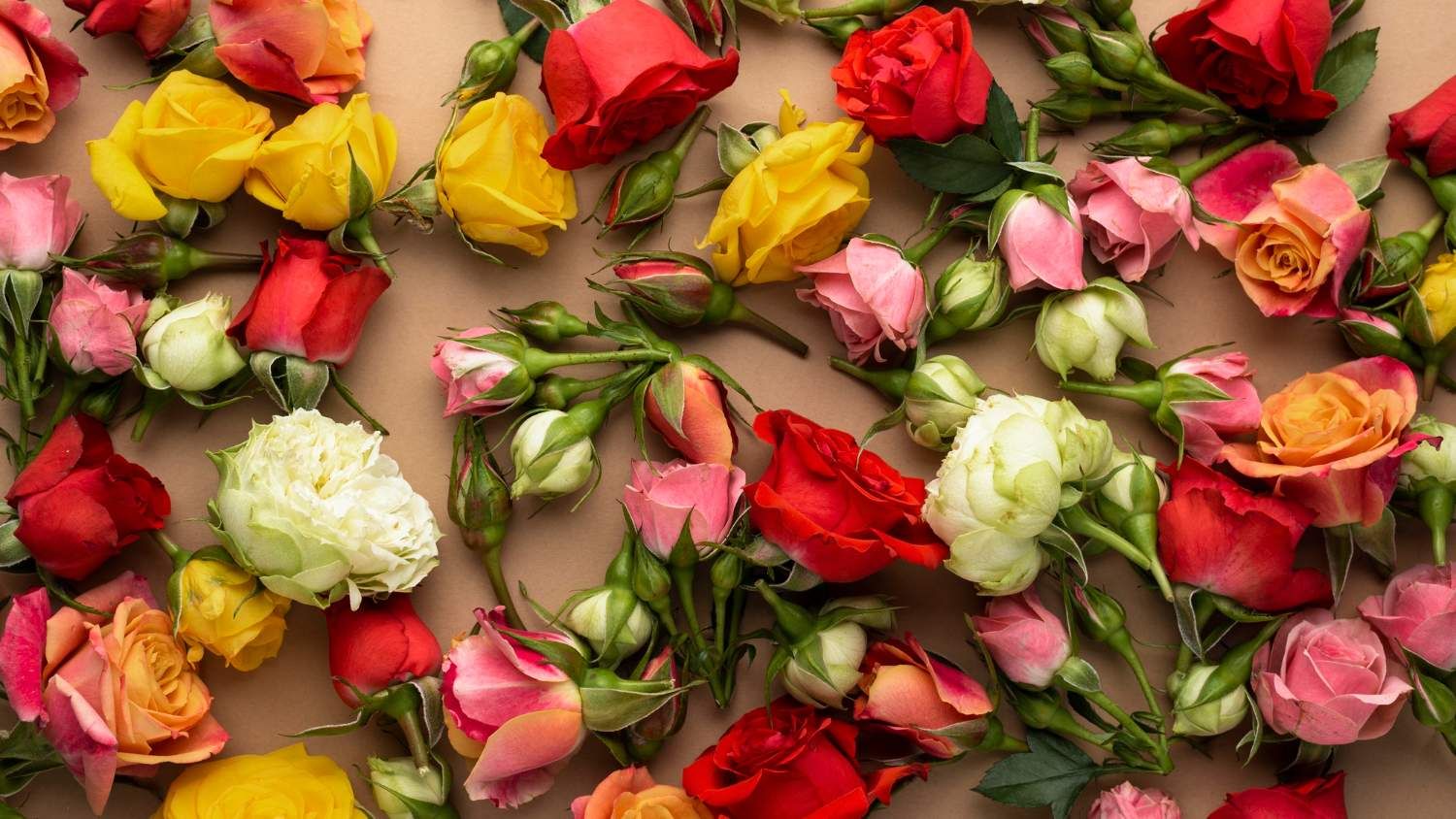 MoldFlowers MD Test