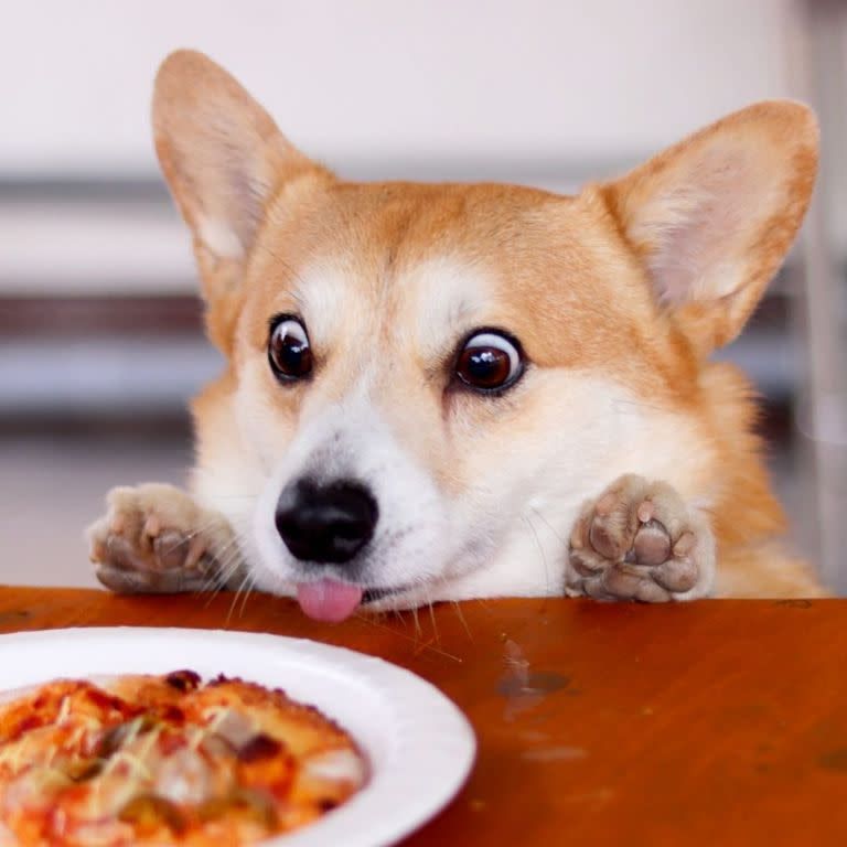 PizzeOhMonte